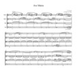 Thumbnail Caccini Ave Maria, for string quartet, CC201