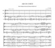 Thumbnail Respighi Ari di Corte from Ancient Airs and Dances Suite No.3, CR003