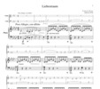 Thumbnail Liszt  Liebestraum, for piano trio, PL101