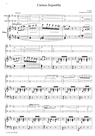 Thumbnail Bizet  Seguidilla from Carmen, for piano trio, PB303