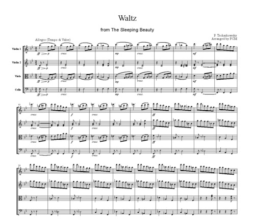 Product picture Tchaikowsky Waltz from The Sleeping Beauty, CT003